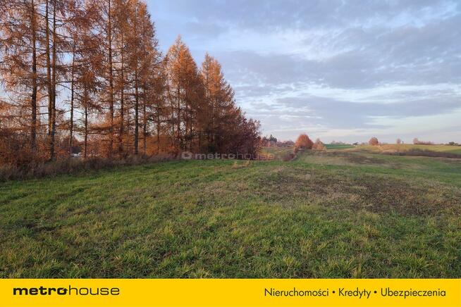 Działki rolne Mostkowo gmina Łukta