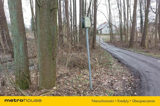 Kawałek lasu tylko dla siebie