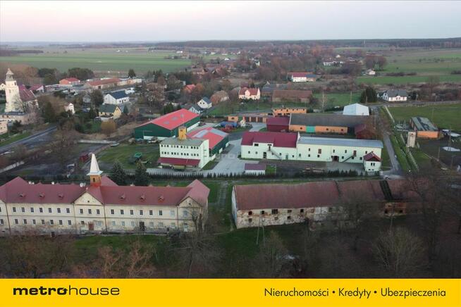 Kawałek lasu tylko dla siebie