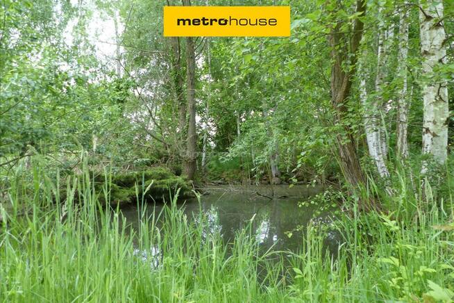 Działka Dzietrzychowice