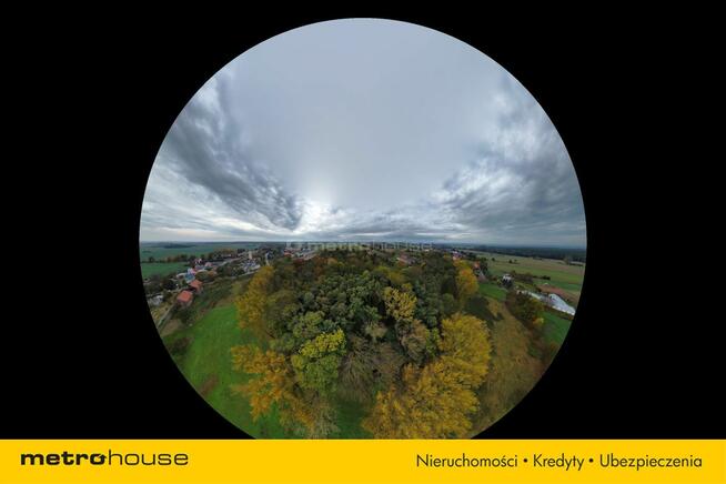 Działka Dzietrzychowice