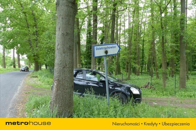 Działka blisko Pałacu - Dzietrzychowice k/Żagania