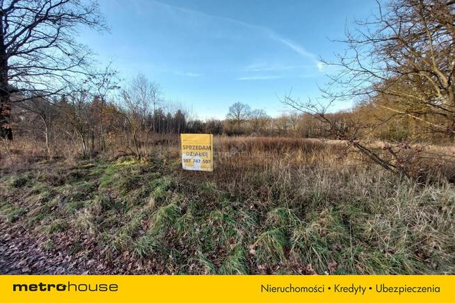 Działka blisko Pałacu - Dzietrzychowice k/Żagania