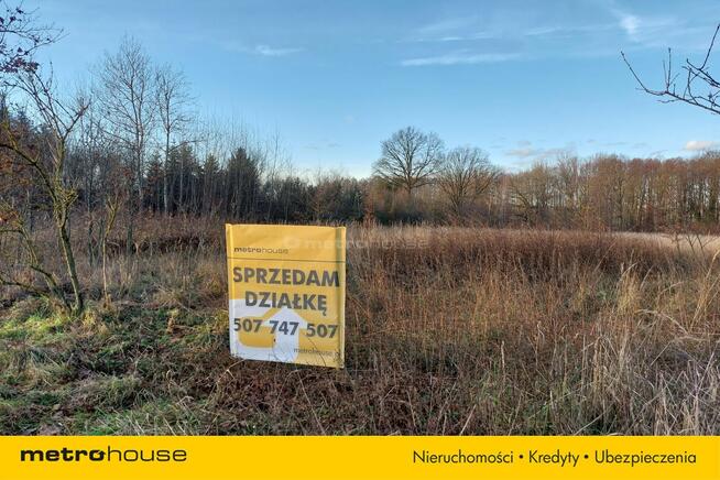 Działka blisko Pałacu - Dzietrzychowice k/Żagania