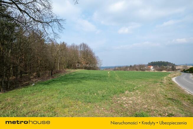 Działka na sprzedaż, Legnicki, Okmiany