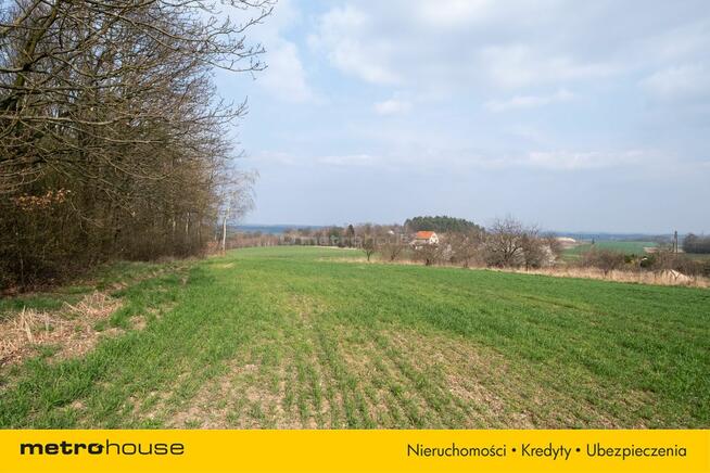 Działka na sprzedaż, Legnicki, Okmiany