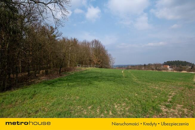 Działka na sprzedaż, Legnicki, Okmiany