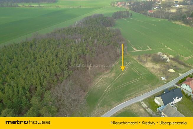 Działka na sprzedaż, Legnicki, Okmiany