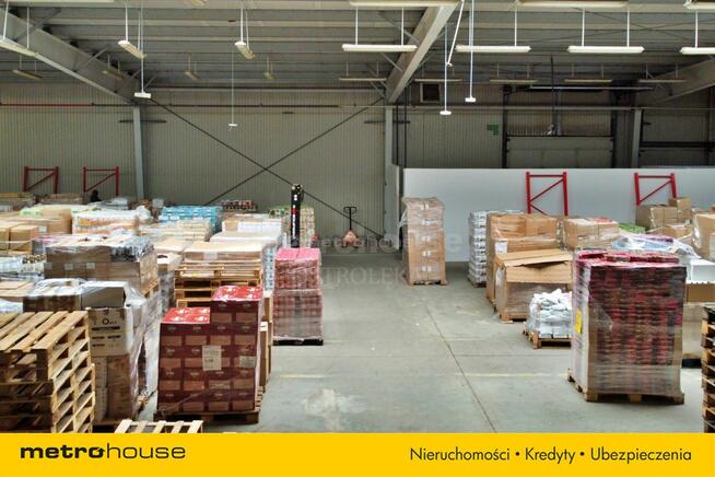 Biura i hala - idealne pod działalność