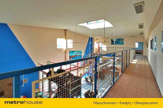 Biura i hala - idealne pod działalność
