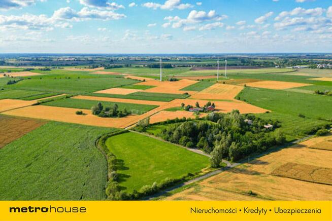 Działka 1,27 ha Wola Miedniewska 4 km od CPK,