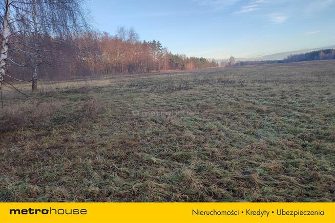 Działka pod magazyn energii i farmę PV