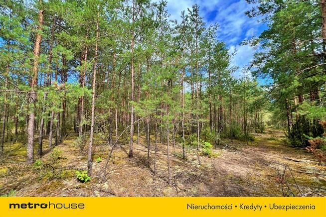 Działka rekreacyjna w pierwszej linii - Wykrot