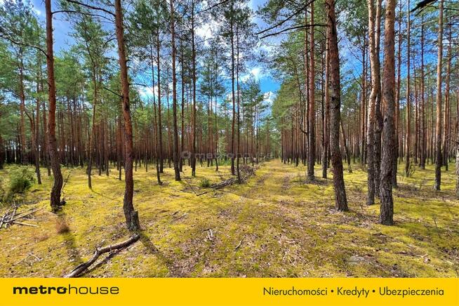 Działka rekreacyjna w pierwszej linii - Wykrot