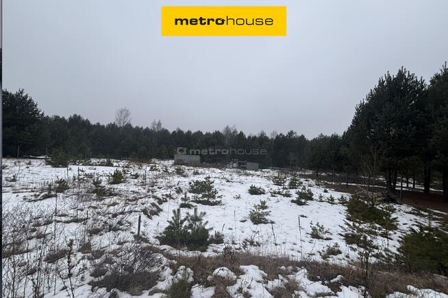 Działka Pradła, ul. Wyzwolenia