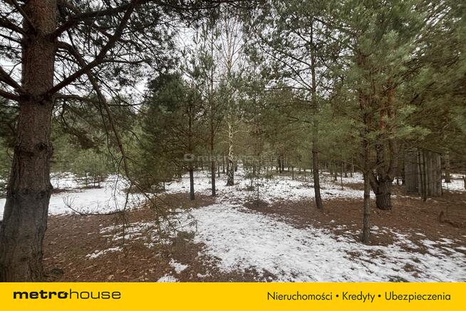 Działka Pradła, ul. Wyzwolenia