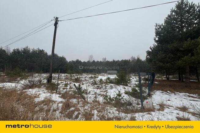 Działka Pradła, ul. Wyzwolenia