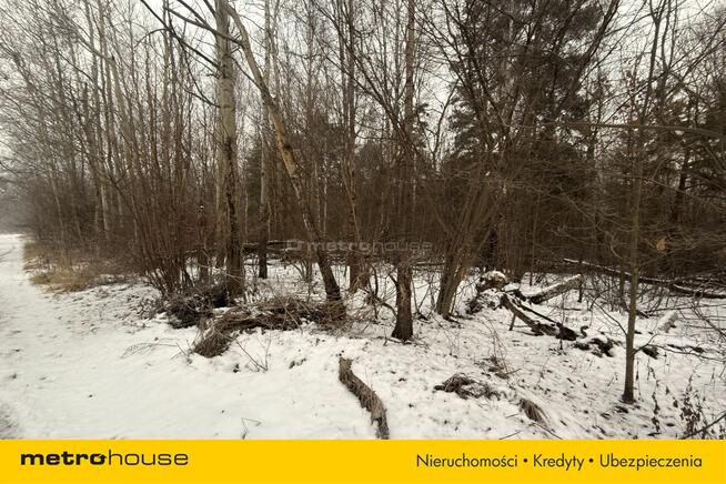 Działka Rzerzęczyce, ul. Wolności