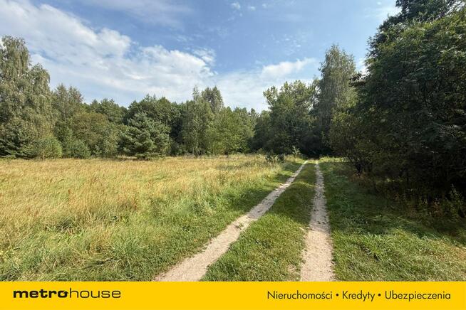 Stary, drewniany dom przy samym lesie!