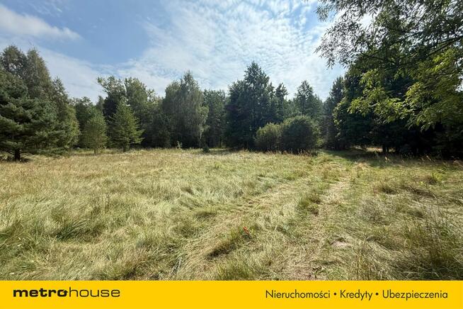 Stary, drewniany dom przy samym lesie!