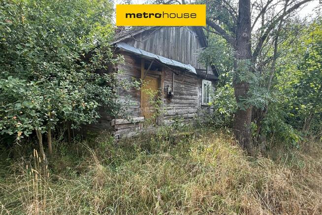 Stary, drewniany dom przy samym lesie!