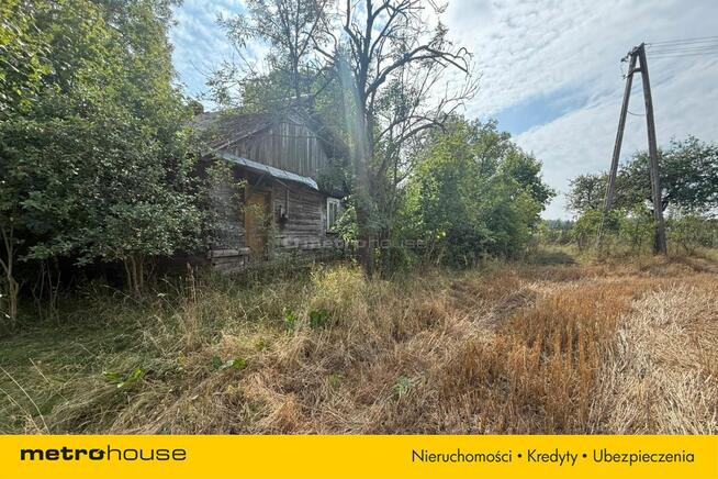 Stary, drewniany dom przy samym lesie!