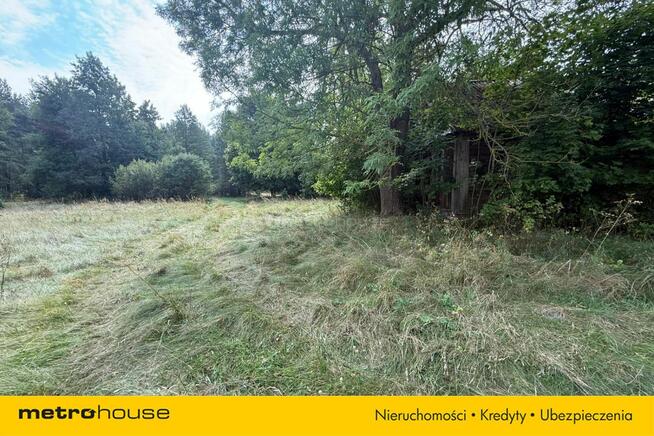 Stary, drewniany dom przy samym lesie!