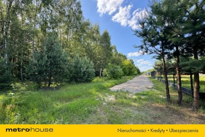 Nowy dom w otoczeniu lasu