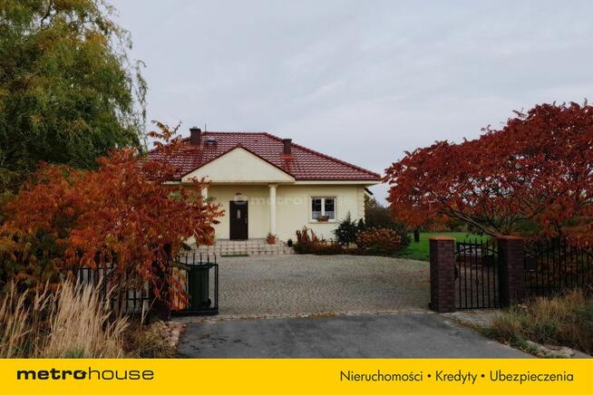 Potencjał, który w końcu zasługuje na Twoją uwagę