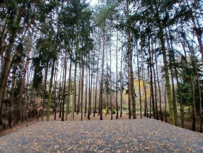 budynek wolnostojący Łacha, ul. Sosnowa