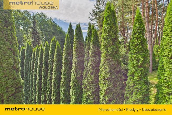 budynek wolnostojący Pieczarki