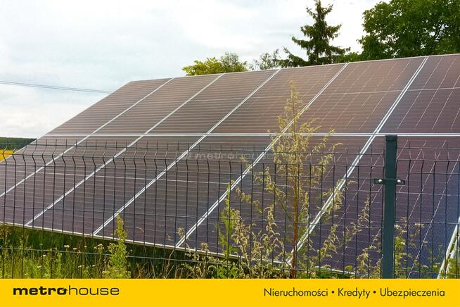 REZERWACJA Dwa domy na dużej działce