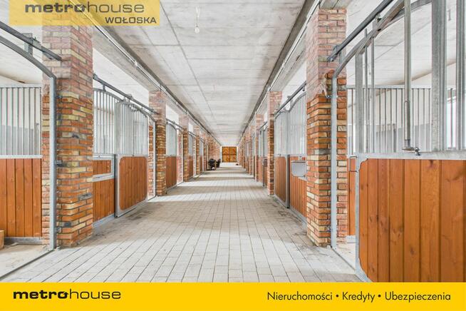 Stajnia z częścią mieszkalną na 40 458 m2 działce.