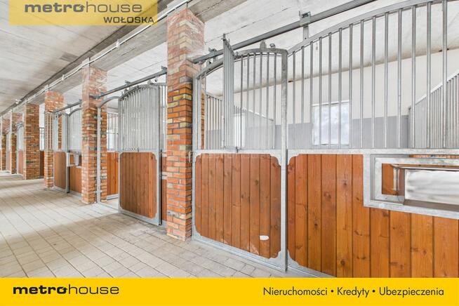 Stajnia z częścią mieszkalną na 40 458 m2 działce.