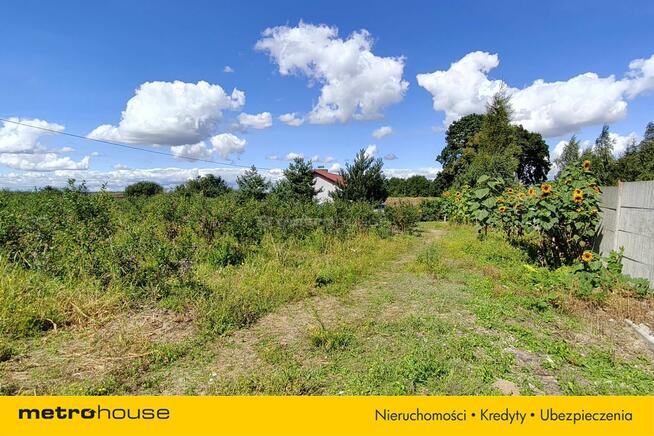 Sprzedam dom w Ruszkowie na 3,2 ha działce