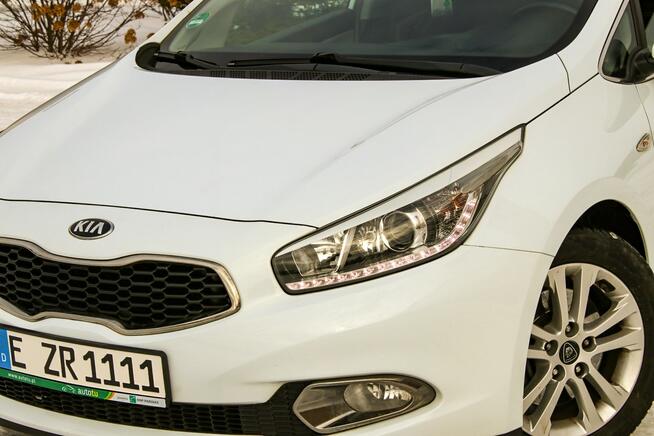 Kia Cee'd 128KM Kamera Nawigacja Podgrzewana Kierownica Tempomat Parktronik