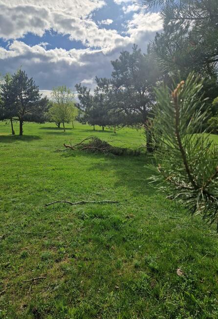 Działka budowlana Nowogród, Śródpolna