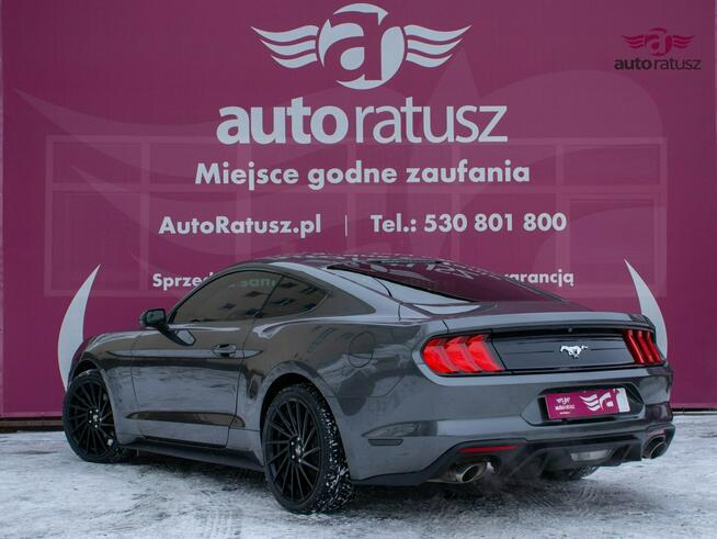Ford Mustang * Oferta Prywatna * 2.3 Benzyna 317KM * Świetny Stan * 80 tyś KM