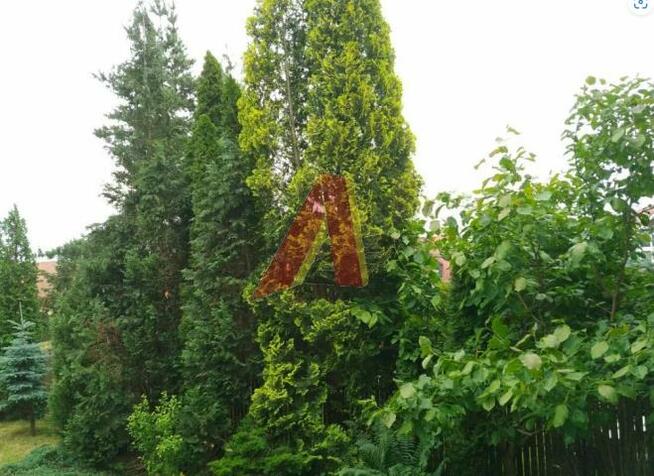 Dom Kraków Podgórze, Kliny, Rdzawa