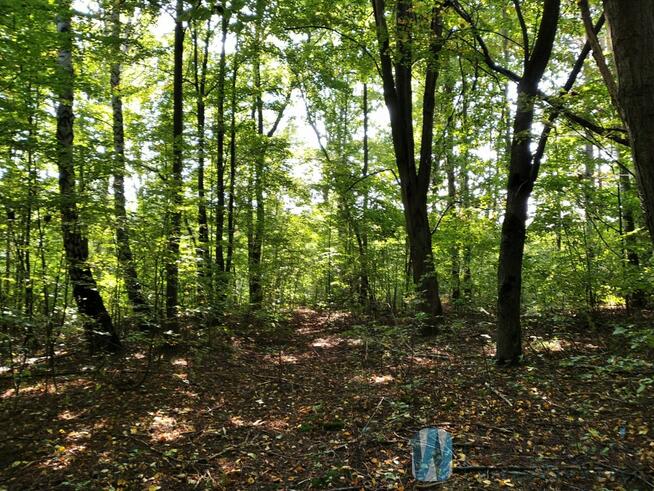 Działka inwestycyjna Kosów gm. Kowala,