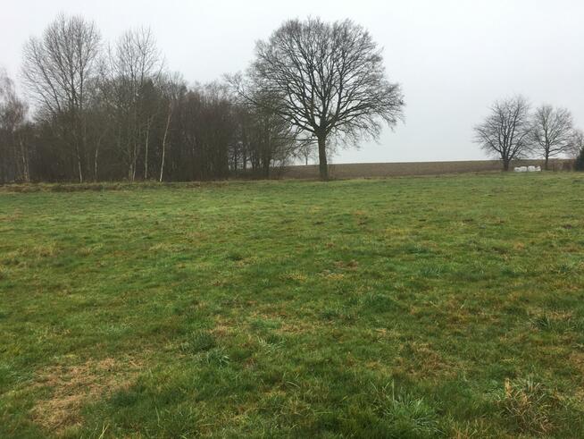 Działka rolna Bogucino gm. Kołobrzeg