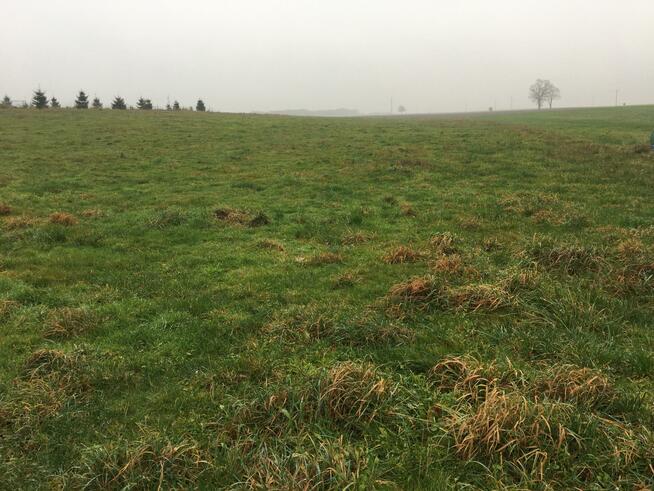 Działka rolna Bogucino gm. Kołobrzeg