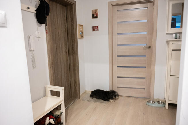 2 Pokojowe mieszkanie na parterze, ul Okulickiego