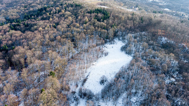 Działka rolna- Grabno- Wojnicz- Małopolska