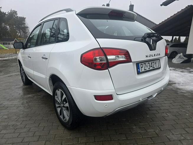 Renault Koleos 2.0 150ps DCI Alusy 17 Klimatronic Navi Gwarancja LIFT