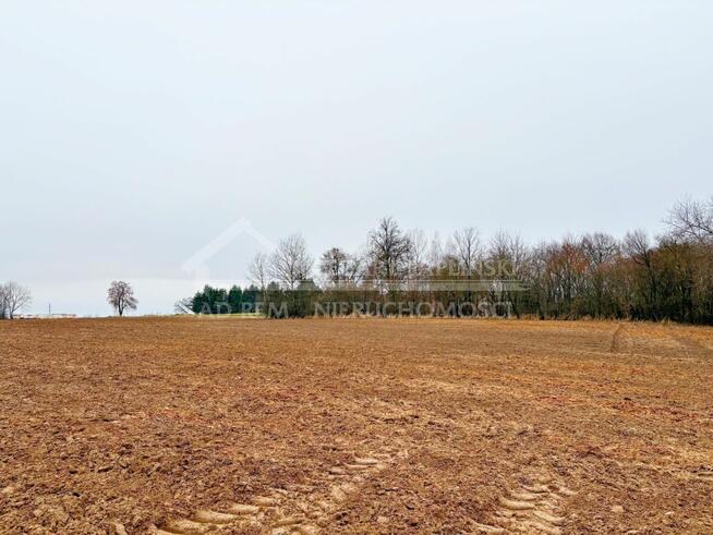 Działka budowlana Konopnica, Konopnica