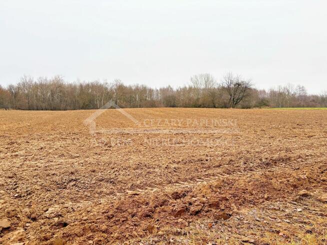 Działka budowlana Konopnica, Konopnica