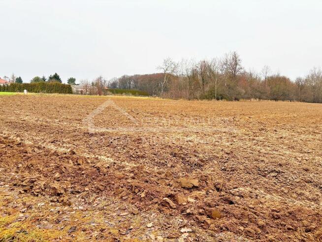 Działka inwestycyjna Konopnica, Konopnica