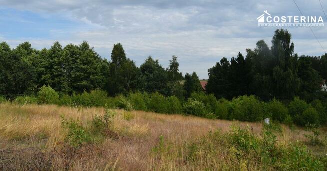 Działka budowlana Dziemiany