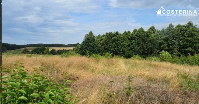 Działka budowlana Dziemiany